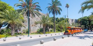 κοκκινο τρενακι φοινικες
