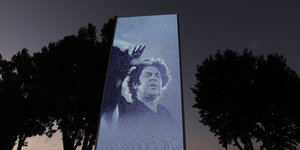 πανο μικης δεντρα