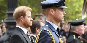 Πρίγκιπας Γουίλιαμ και πρίγκιπας Χάρι