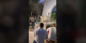 γάμος ρύζι νεόνυμφοι φτυάρια κουβάδες