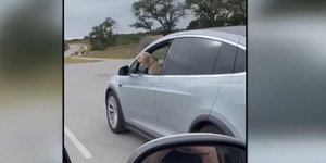 Σκύλος οδηγεί Tesla 