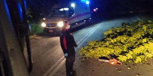 Βέροια: Ανείπωτη οικογενειακή τραγωδία με τον θάνατο του 21χρονου σε τροχαίο -«Σε 15 χρόνια έχασαν δύο παιδιά»