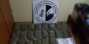 κάνναβη ΕΛ.ΑΣ.