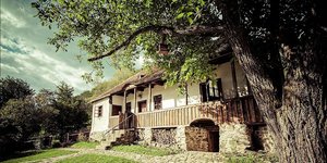 ξενωνας δεντρα 