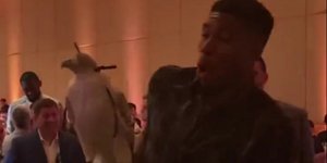 Το γεράκι που τρόμαξε τον Giannis