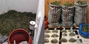 Κρήτη: Συνελήφθη 60χρονος με 12,5 κιλά κάνναβης