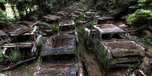 70 χρόνια παρατημένα μετρούν τα συγκεκριμένα αυτοκίνητα σε δάσος του Βελγίου.