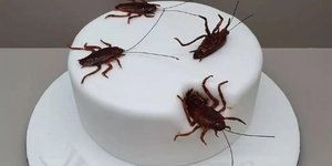 Ζαχαροπλαστείο στην Κόρινθο έφτιαξε τούρτα με... κατσαρίδες