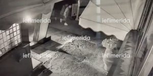 Ο βιαστής στο Παλαιό Φάληρο τρέχει να ξεφύγει μετά από αποτυχημένη απόπειρα