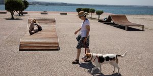 ξαπλωστρες αφεντικο με σκυλο