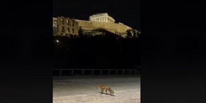 Αλεπού Ακρόπολη βόλτα
