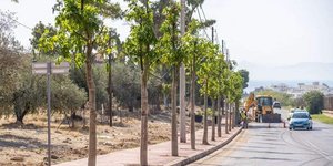 Δενδροφύτευση στη Γλυφάδα