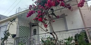 Έγκλημα στη Ρόδο: Είχε σχιζοφρένεια, εκνευρίστηκε και την σκότωσε -Οι σοκαριστικές αποκαλύψεις για τους φόνους ηλικιωμένων
