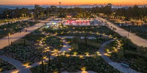 Ελληνικό: Σε πλήρη εξέλιξη βρίσκεται μια από τις μεγαλύτερες μεταφυτεύσεις δέντρων