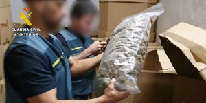 Κατάσχεση της μεγαλύτερης ποσότητας μαριχουάνας παγκοσμίως στην Ισπανία