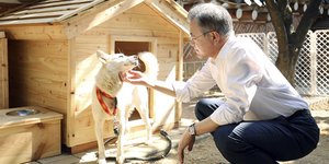 Tα δύο σκυλιά που δώρισε ο Κιμ Γιονγκ Ουν στην Νότια Κορέα, προκαλούν πολιτική διαμάχη