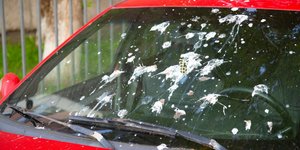 To χρώμα που προτιμούν τα πουλιά για να λερώνουν τα αυτοκίνητα. 