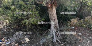 Το σημείο που βρέθηκε νεκρός ο 17χρονος στη Μάνδρα