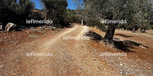 Το σημείο που βρέθηκε νεκρός ο 17χρονος στη Μάνδρα