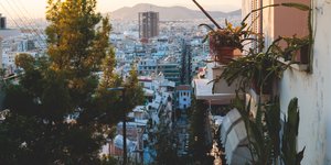 μπαλκονι κακτοι θεα