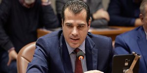 Θάνος Πλεύρης