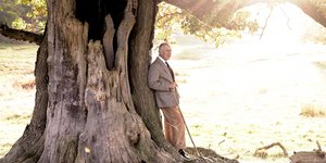 Βασιλιάς Κάρολος δέντρο μπαστούνι