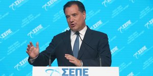 Ο υπουργός Ανάπτυξης και Επενδύσεων, Άδωνις Γεωργιάδης, σε forum του ΣΕΠΕ