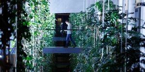 Η ομοσπονδιακή αστυνομία σε δραδρόμους του Ευρωπαϊκού Κοινοβουλίου