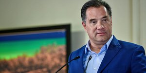 Αδωνις Γεωργιάδης καδρο