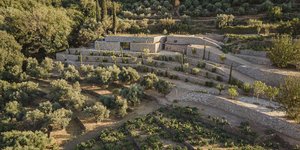 Design αμπελώνας Liknon Σάμος Metaxa