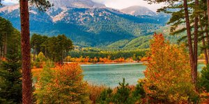 Φωτογραφία: shutterstock