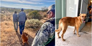 Σκύλος οδήγησε τους διασώστες μέσα από χαράδρες στον ιδιοκτήτη του 