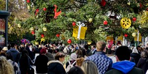 πλατες δεντρο 