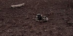 Ουκρανικός πύραυλος έπεσε σε έδαφος της Λευκορωσίας