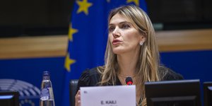 Η ευρωβουλευτής, Εύα Καϊλή