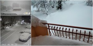 Φωτογραφίες: Twitter