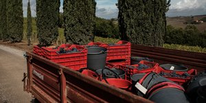 καροτσα καφασια 