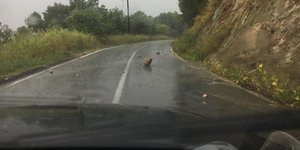 πετρα οδοστρωμα