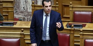Θάνος Πλεύρης στη Βουλή 