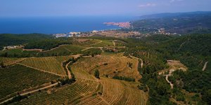 αμπελωνας θεα θαλασσα 