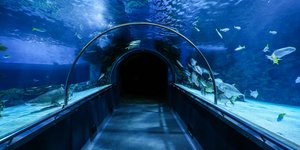 Μετρό Ινδία