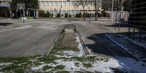 παγωνια προαυλιο μπασκετες