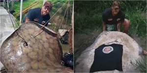 Ψαράς έπιασε σαλάχι βάρους 250 κιλών