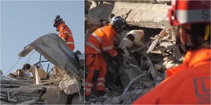 Τα βρετανικά σκυλιά διάσωσης στην Τουρκία 