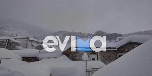 Στενή Ευβοίας