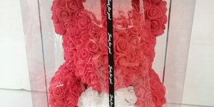 Τριαντάφυλλα αρκούδος 