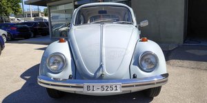 VW Beetle