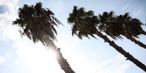 Ηλιοφάνεια σήμερα στην Αθήνα