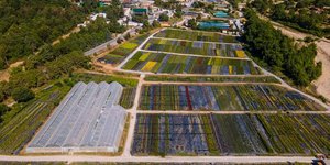 Υπεύθυνες πρακτικές από την «Ελληνικός Χρυσός»