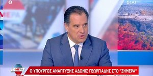 Ο Άδωνις Γεωργιάδης